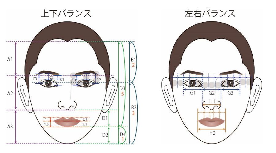 顔分析カウンセリング実践プロ講座 一般社団法人 顔分析パーソナルメイクアップ協会